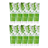 D.dent Herbal Toothpaste 5-in-1 Peppermint Flavor 100% Pure Fresh Breath Plaque Removal - 10 Tubes