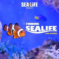 [E- Ticket] SeaLife Bangkok บัตรซีไลฟ์โอเชี่ยนเวิลด์ สยามพารากอน ราคาถูกมากก