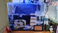 小型魚缸套裝 (30cm 高,28cm深,36cm 闊）