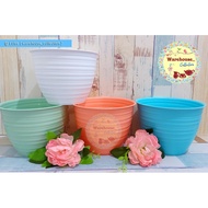 / Plant Flower Pot / Honey Pot White Wasp Pot 27Cm Oentoeng By.Calista
