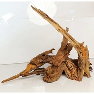 Magnifica Driftwood (per 100 grams) Display Terrarium Drift Wood Aquarium Aquascaping Landscape