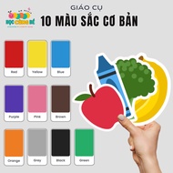 Hard-pressed color learning materials, Set of 10 basic colors - Smart school supplies GC_020