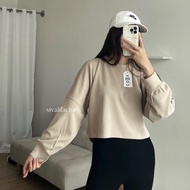 Crop Sweater - Basic Sweater Crop Top Rib Knit Premium - Women's Top
