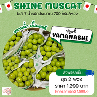 Shine muscat grape  size 7 ชุด 2 พวง ไชน์มัสคัส ไชน์มัสแคท องุ่นญี่ปุ่น องุ่นเยลลี่