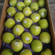 FNA - 327 Apel Hijau Granny Smith Fresh Import Harga Grosir