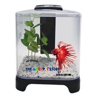 DOPHIN Mini Tank BT111 (5.6L) FULL SET Plastic Mini Aquarium Betta tank tetra tank