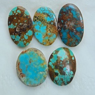 PERSIAN TURQUOISEnatural (D13)