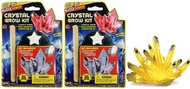 Magic Grow a Crystal Kit ( 2 Sets) | Growing Crystals Science Kit Toys for Kids and Adults. Party Fa