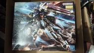 Bandai MG 1/100 Aile Strike Gundam Ver.RM
