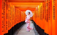 【Kyoto & Nara & Uji One-Day Tour】Nara Park Cute Deer & Fushimi Inari-taisha Shrine Senbon Torii & Wo