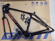 2025 New Giant Defy Adv 全新捷安特碳纖維公路車架連前叉 size XS (160-170cm)