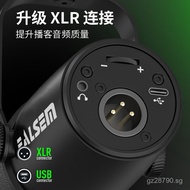 Dynamic Microphone for Mobile Phones K Song Microphone Live Streaming Recording Game XLR Computer US