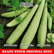 Benih Timun Armenian / Armenian Cucumber Seeds / 蛇甜瓜种子