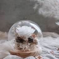 永生花玻璃罩水晶球 - 純潔的愛