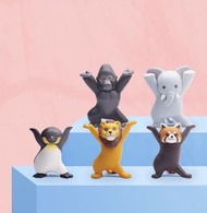 日本quaila 動物扭蛋