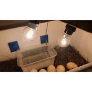 5W LAMPU AYAM SMALL anak ayam PIN / SCREW BULB E27 B22 clear transparent ping pong light bulb 5w tel