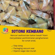 SOTONG KEMBANG 500g Fresh