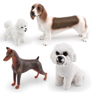 Realistic Puppy Model Children's Cognitive White Teddy Doberman Bichon Frise Pet Dog Figurine Model