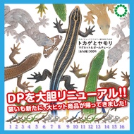 Kitan Club Kitan Lizard Gecko Gecko Grass Lizard Refrigerator Sticker Ornaments Pendant Japanese Bul