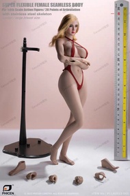 Brand new 1/6 tbleague S53 1:6 比例 包膠素體 figure 可換 phicen tbl hottoys inart 其他 1:6 兵人 或 手辦 figure 模型