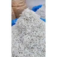 Ikan teri medan halus/ikan bilis mata biru