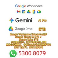 Google Gemini AI Pro Google Drive 5TB Google Workspace Enterprise Standard