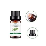(SG Ready Stock) Rosemary Essential Oil The 'R'oma Store Essential Oil Aromatherapy Massage Oil