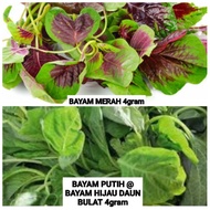 Set Bayam Merah & Hijau @ Putih 4gram + 4gram • Amaranth