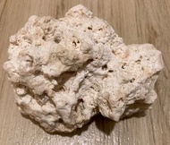 魚缸珊瑚石裝飾