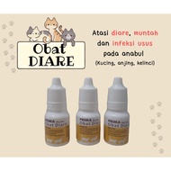 Medicine For Diarrhea Acute Vomiting Intestine Infection With Bloody Pup Cat Dog Rabbit Antibiotics 