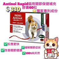 Antinol Rapid 貓用關節保健補充膠囊 Joint Supplement for cat 60粒