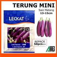 TERUNG MINI 50pcs++  Leckat 313 Little Nyonya Eggplant  F1 Hybrid Biji Benih Seeds