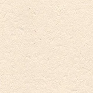 Shin Bun Paper, 7.2 oz (209.4 g), Square Meters, A4 Size, 100 Sheets