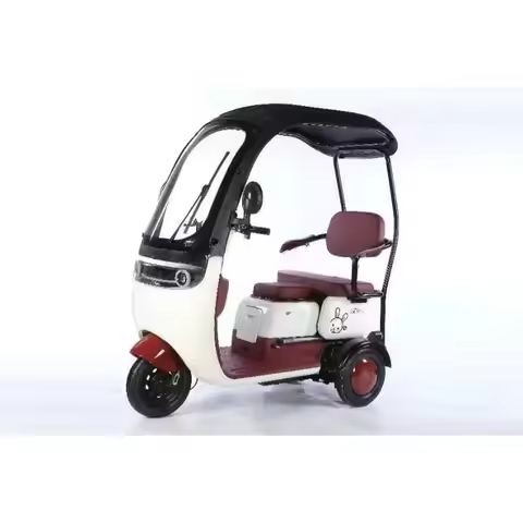 800W 3 Wheel Cargo Bike Long Range Electric Pedicab Tricycle With Roof Electric Bike For Adults