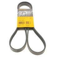 [SFF Double B Store] BENZ W246/W242/W117/W176/W177/W156 Continental Belt [5PK1515]