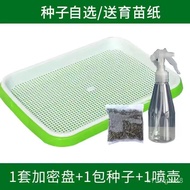 XYSprout Vegetable Seedling Tray Bean Sprouting Pot Artifact Hydroponic Vegetable Equipment Pea Seedling Wheatgrass Garl
