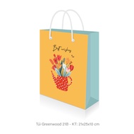 Paper gift bag, gift bag T21 (21x25x10cm)