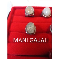 Cincin Batu Mani Gajah