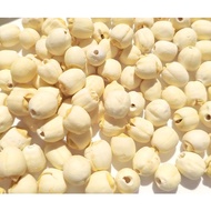 【福建】白莲子 FUJIAN LOTUS SEED / KACANG TERATAI