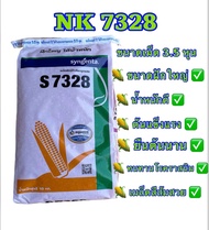 S7328 เม็ดขนาด 3.5 หุน( 10 กก.) ข้าวโพดฝักใหญ่ หน่อแรง การันตรีด้วยคุณภาพยืนหนึ่ง 👍🏻
