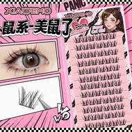 Little Mouse False Eyelashes Premium Box -H09