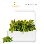 Click And Grow 3 Packs Plant Pods (Bloody Sorrel)