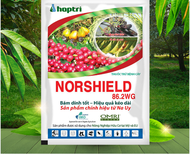 Thuốc Trừ Bệnh NORSHIELD 86.2WG (250g)