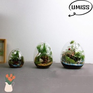 UMISTYDREAM9IQ0 Succulent Glass Vase Fleshy Hydroponic Egg-shaped Home Decoration