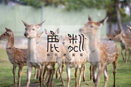屏東 -小琉球鹿粼梅花鹿園區| 入園門票