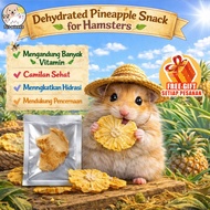 Pet Buddy Dehydrated Pineapple Hamster & Rabbit - High Vitamin - Healthy Small AnimalCemilan