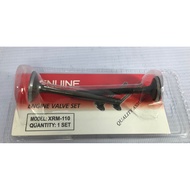 High Quality Engine valve set Intake Valve Exhaust Valve XRM110,WAVE100 GP 13159
