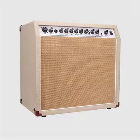 WA-30 30W Guitar Amplifier