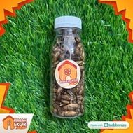 Jangkrik Kering Pakan Channa Gecko Hamster Burung Landak Mini