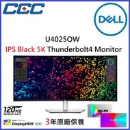 UltraSharp 40 曲面 Thunderbolt™ Hub 顯示器 - U4025QW